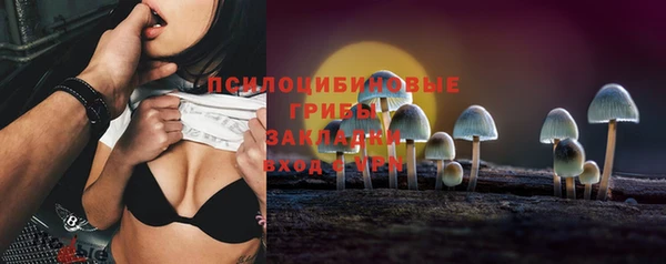 крисы Белокуриха
