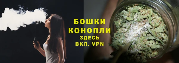 крисы Белокуриха