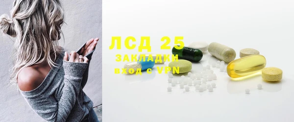 PSILOCYBIN Баксан