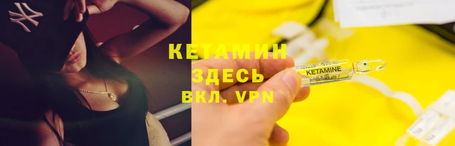крисы Белокуриха