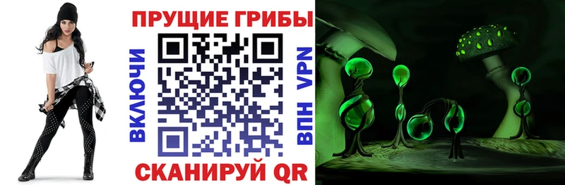 мега ССЫЛКА  сколько стоит  Среднеколымск  Псилоцибиновые грибы GOLDEN TEACHER 